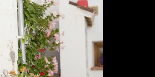 Casa Alegria