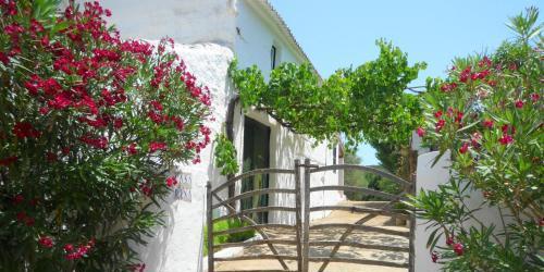Casa Dina