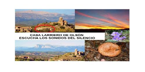 Casa Larriero de Olsón