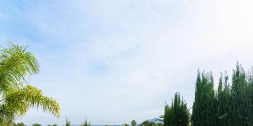Beautiful Villa In Pedreguer with Swimming Pool