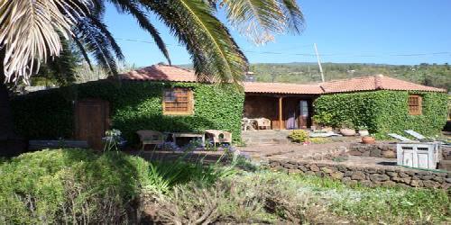 Casa Palmera