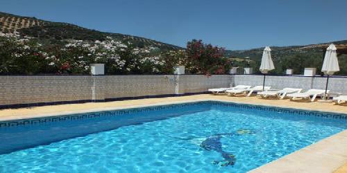 Casa Pino Solo