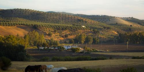 Casa Rural Asiento del Río