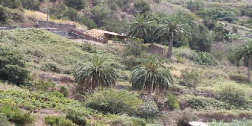 Casa Rural El Rincón de Antonia