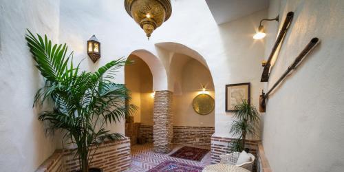 Las Palmeras del Califa