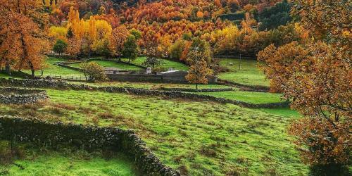 Casas Rurales Acebuche