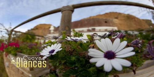 Cuevas Blancas