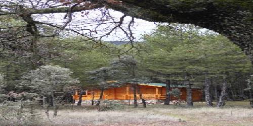 El Llano de los Conejos