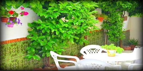 El Rincón de la Rosa