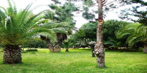 Finca S'aigo
