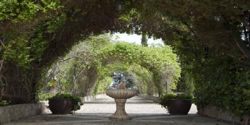Finca Sa Garriga