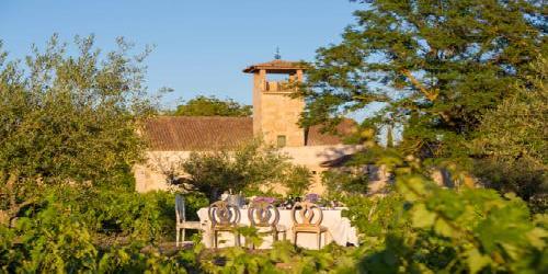 Hacienda Zorita Wine Hotel & Organic Farm