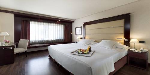 Hotel Andalucía Center