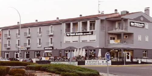 Hotel Avenida del Sotillo