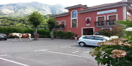 Hotel El Torrejón