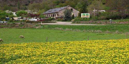 Hotel, Bungalows y Camping Viu