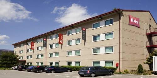 Ibis Cornella