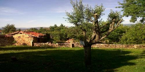La Morera de Agustina