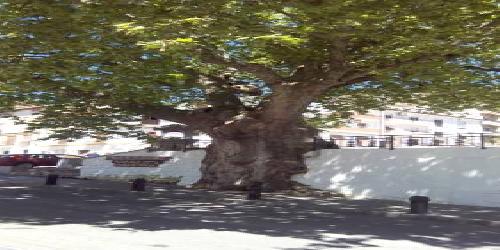 Ruralguejar