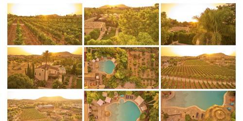 Sa Vinya des Convent - Hotel Bodega