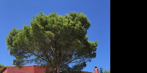 Villa Gisele