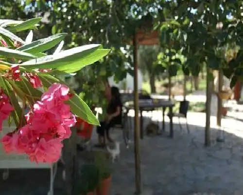 Alqueria de los lentos - Nigüelas
