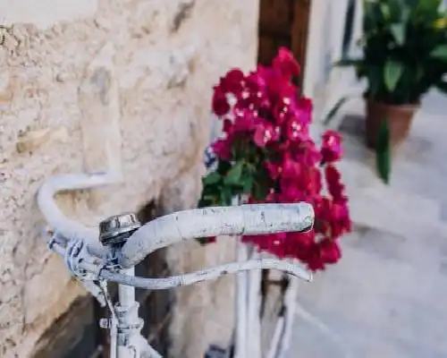 Can Solaies - Sant Llorenç des Cardassar