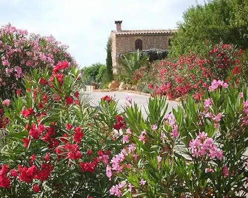 Casa Pina - Costitx