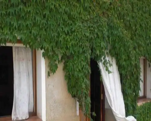 Casa rural de la Abuela - Cadreita