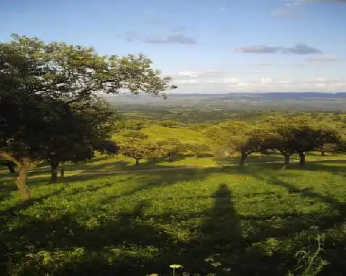 El Añadío - Vilches