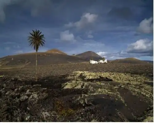 Finca Tisalaya - Tinajo