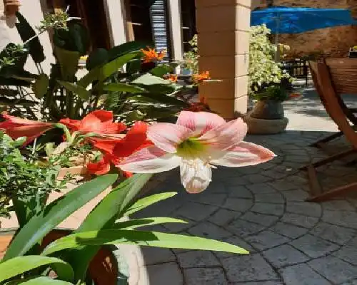 Hotel Segles - Campos