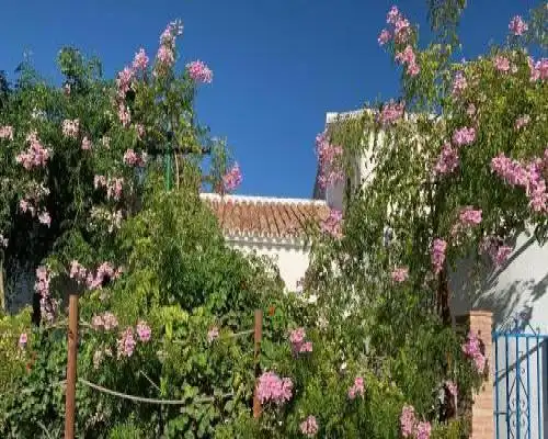 La Casita Blanca- La Almona Chica - El Chorro