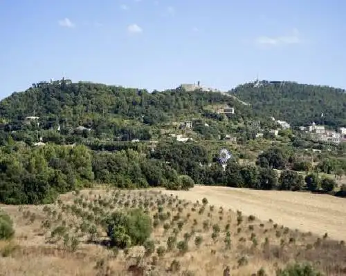 Predi Son Jaumell Hotel Rural - Capdepera